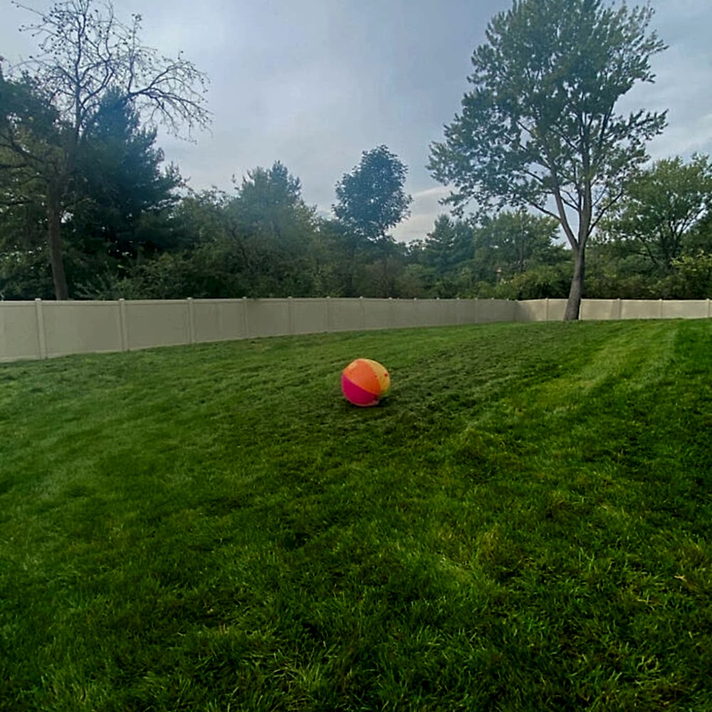 Large fenced in yard