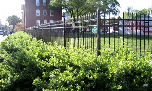14steel-fence-500×300 Steel fence around complex