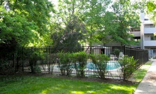 8steel-fence-500×300 Steel fence around pool