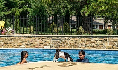 Fence-Deck-Depot-748-500×300 Aluminum fence around pool